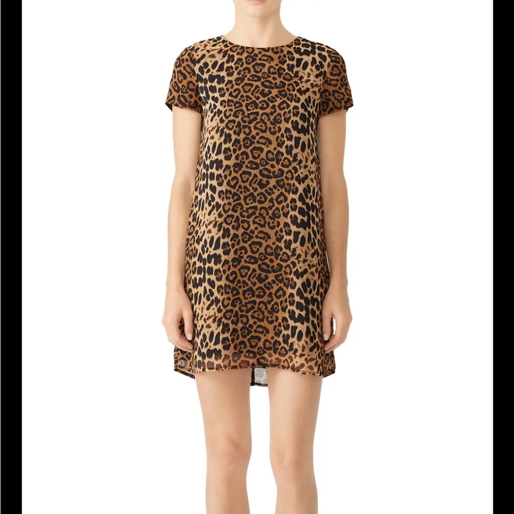 Line & Dot Animal Print Shift Dress